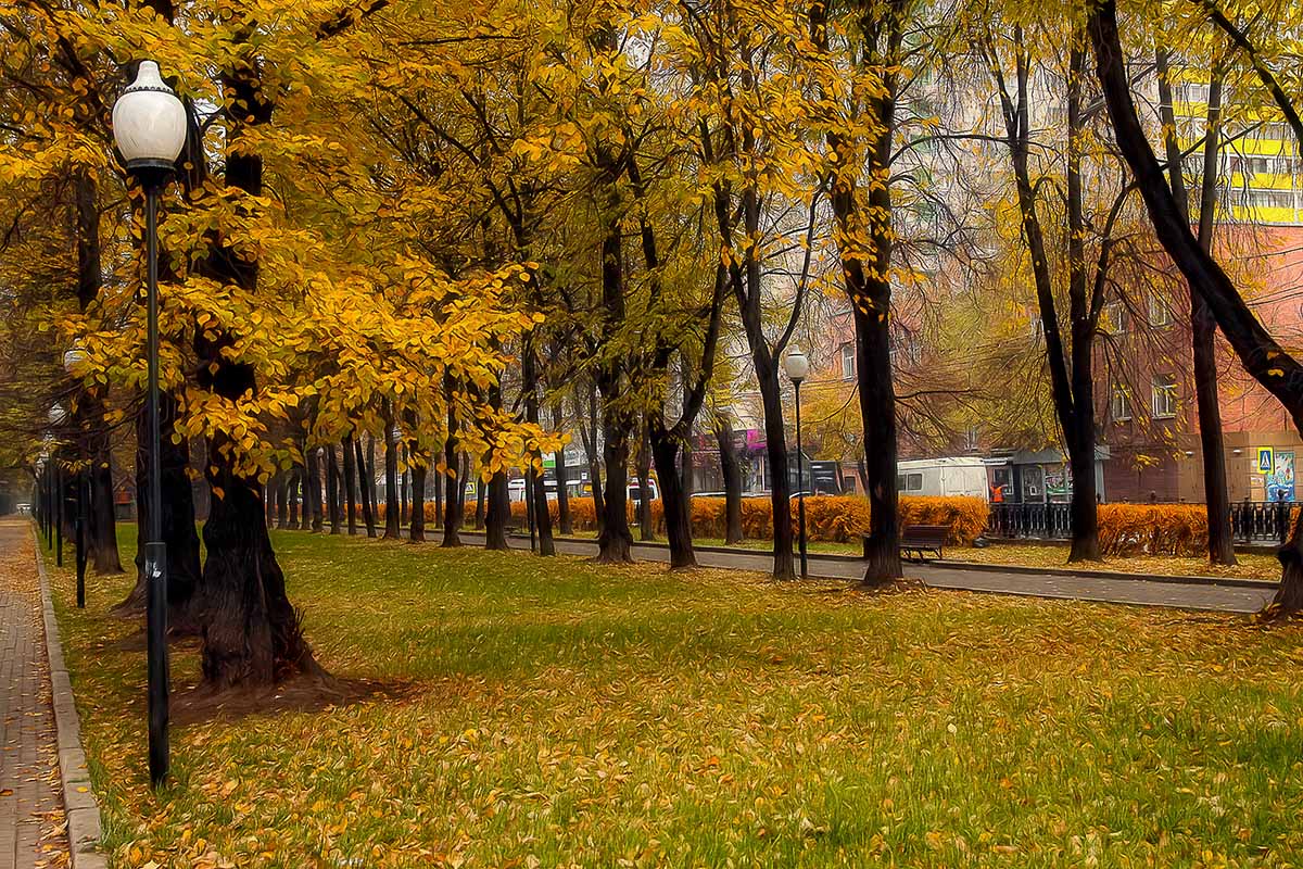 Осенний парк Владикавказ